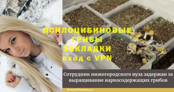 спиды Армянск