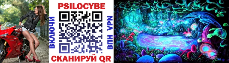Галлюциногенные грибы мухоморы  ОМГ ОМГ ONION  Туринск 